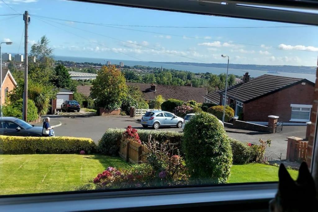 Bellevue Bungalow - Comfortable Home With Amazing Views 贝尔法斯特 外观 照片