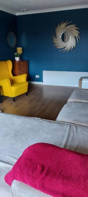 Bellevue Bungalow - Comfortable Home With Amazing Views 贝尔法斯特 外观 照片