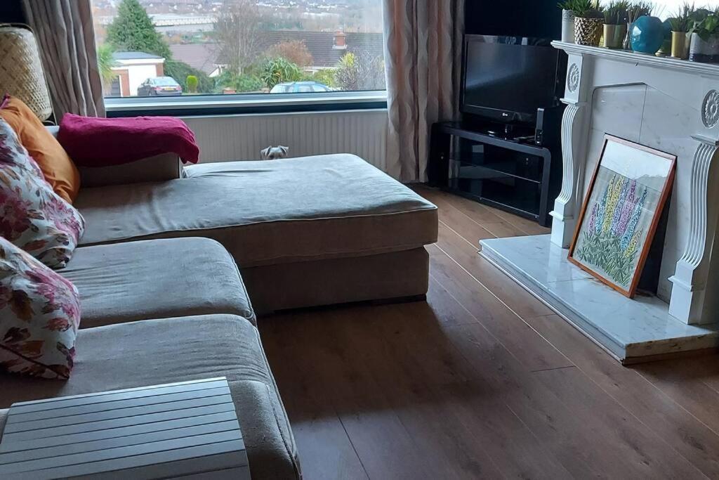Bellevue Bungalow - Comfortable Home With Amazing Views 贝尔法斯特 外观 照片