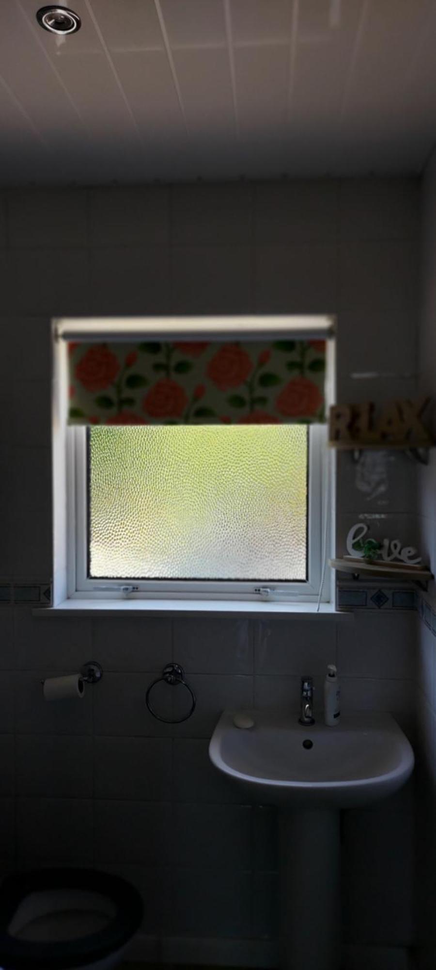 Bellevue Bungalow - Comfortable Home With Amazing Views 贝尔法斯特 外观 照片